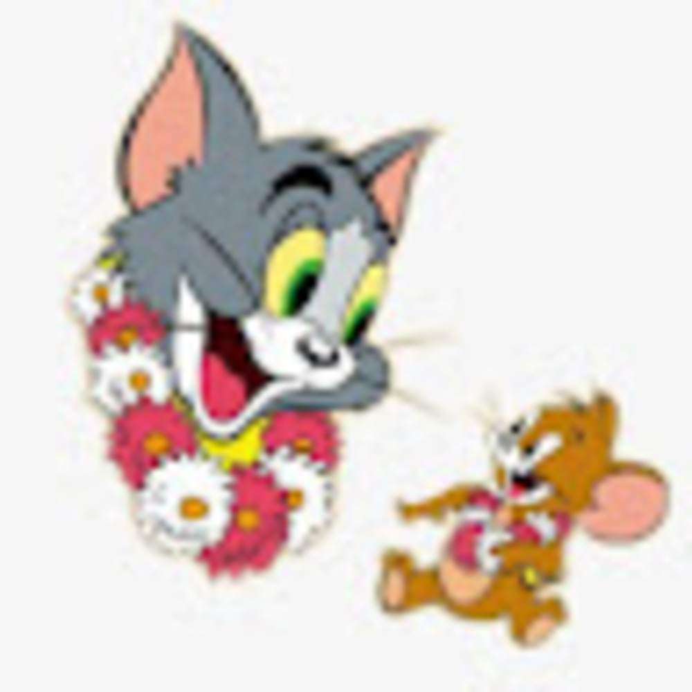 Meet your Posher, Abbey